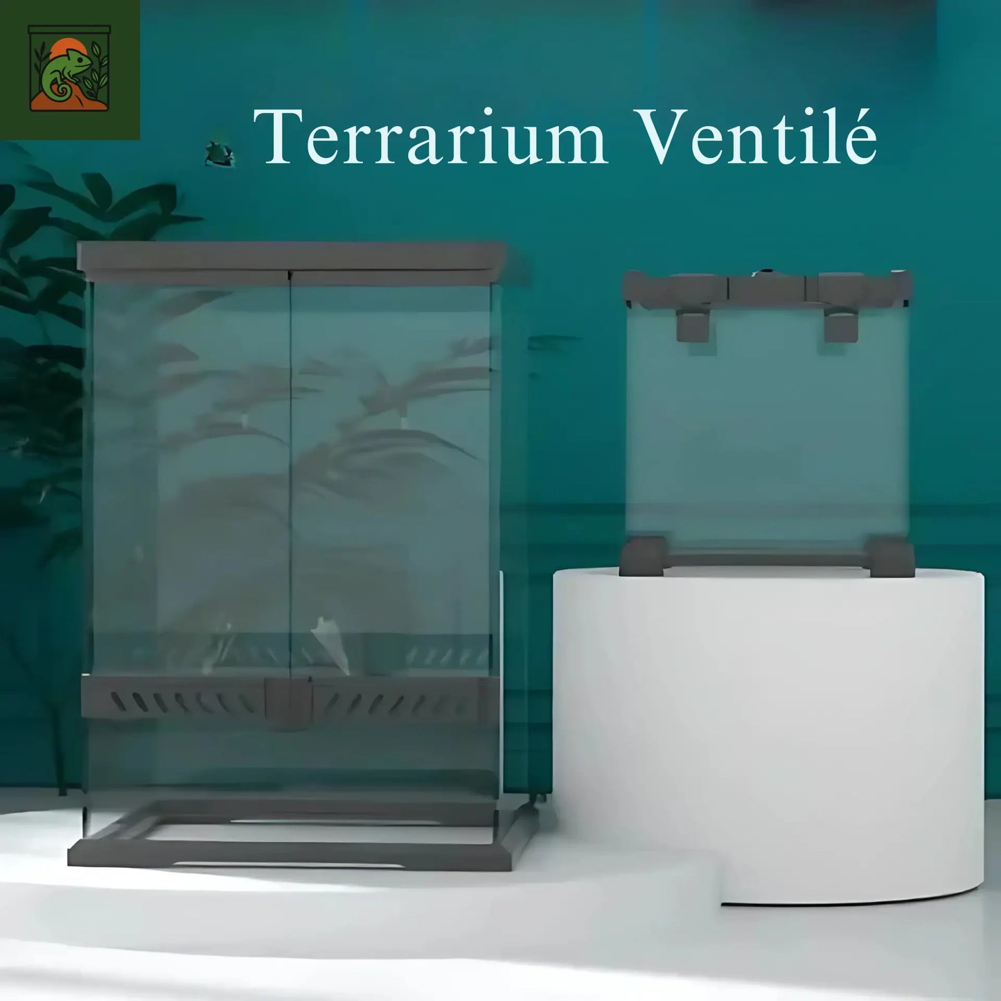 Boîte d'élevage de Reptiles en verre trempé, Cage d'alimentation pour lézards, amphibiens, Terrariums écologiques, chenil à tortues, accessoires pour Reptiles
