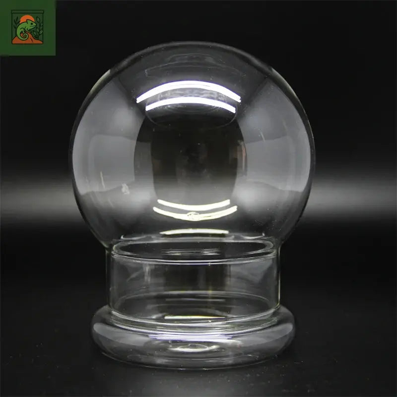 Micro vase en verre de paysage Bansai, type fendu, plusieurs sphères, mousse verte, terrarium de bureau, décoration d'intérieur