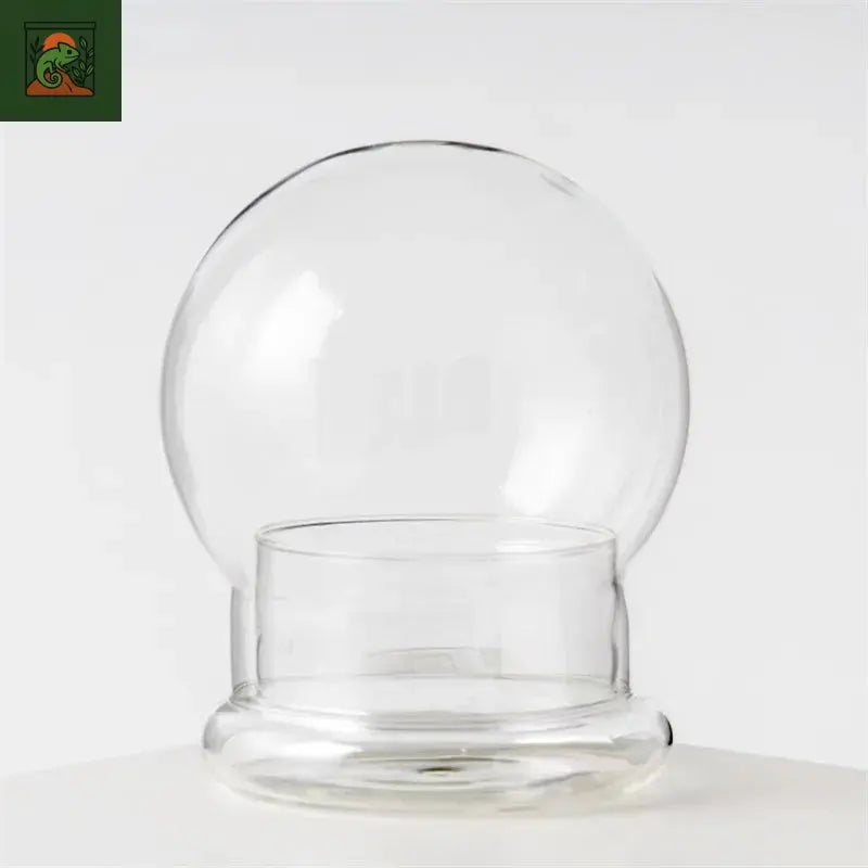 Micro vase en verre de paysage Bansai, type fendu, plusieurs sphères, mousse verte, terrarium de bureau, décoration d'intérieur