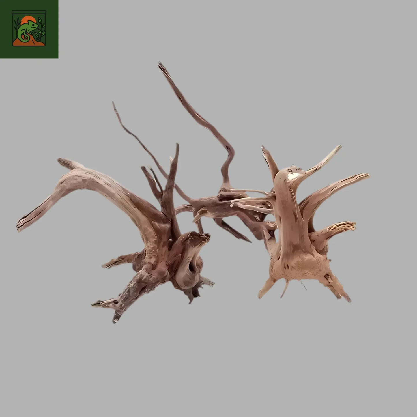 Tronc d'Arbre Naturel en Bois pour Terrarium