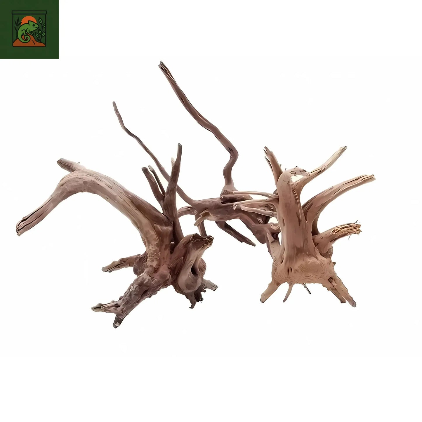 Tronc d'Arbre Naturel en Bois pour Terrarium