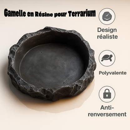 Gamelle en Résine pour Terrarium 
