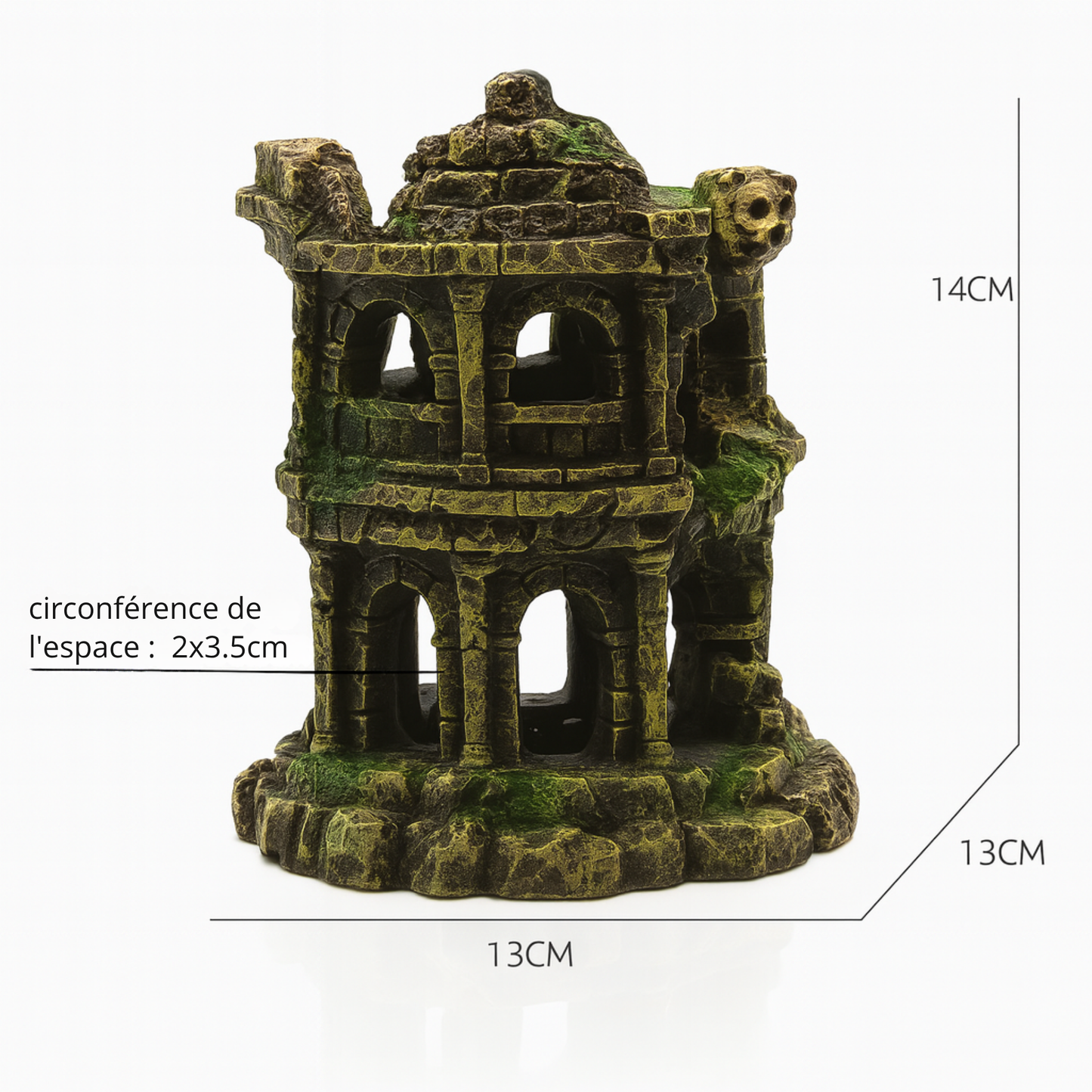 Décoration en Résine pour Terrarium 