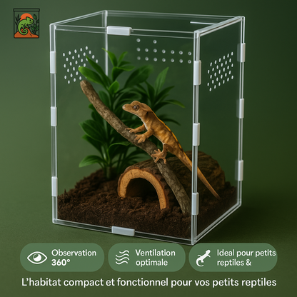 Terrarium Transparent en Acrylique Vertical 