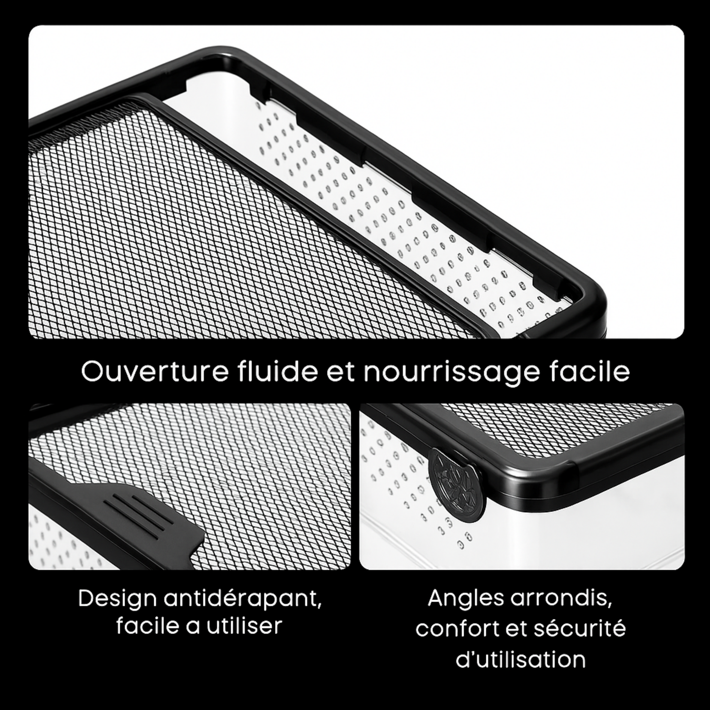 Terrarium Transparent de Nourrissage 