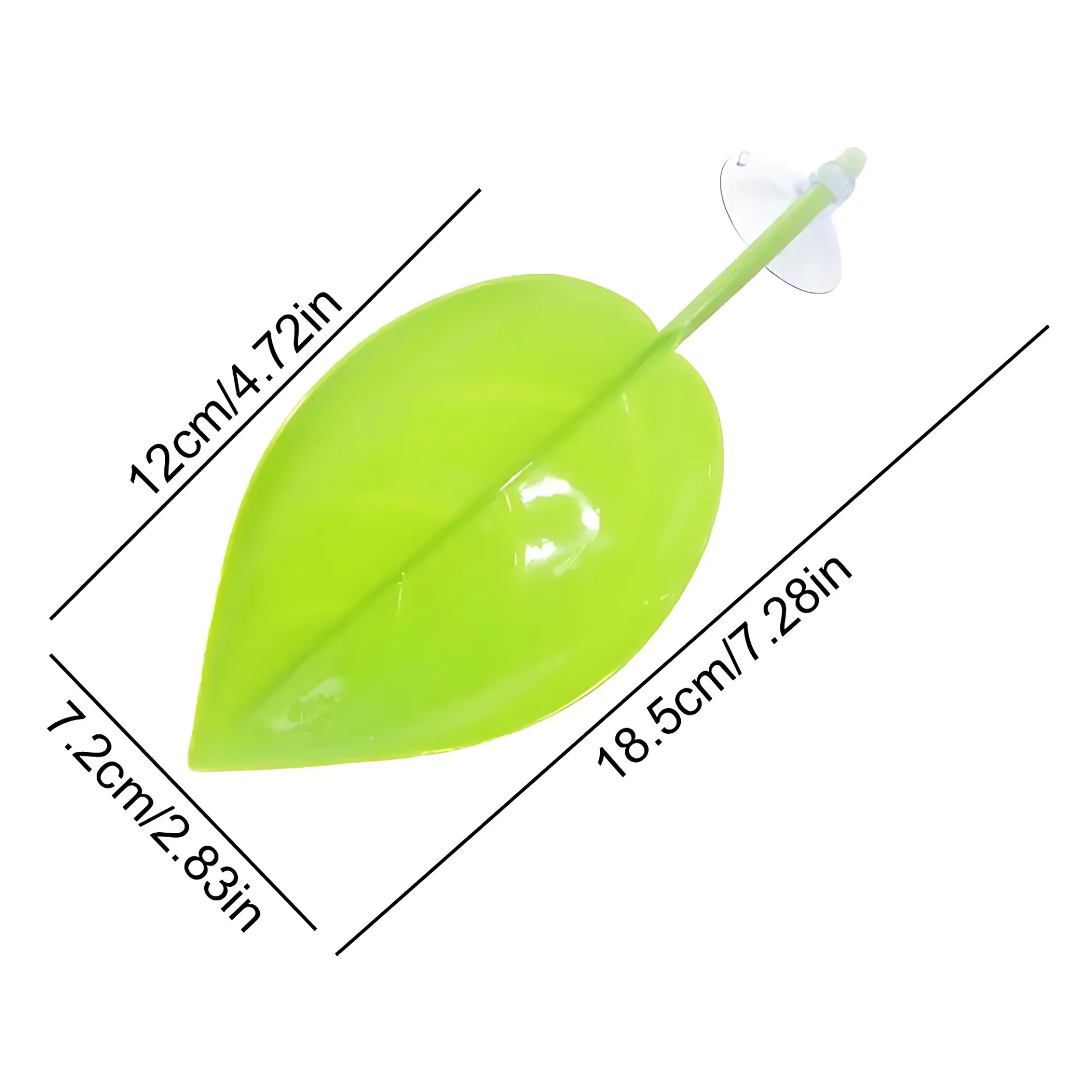 Feuille Ventouse pour Terrarium – Repos & Cachette Reptiles 