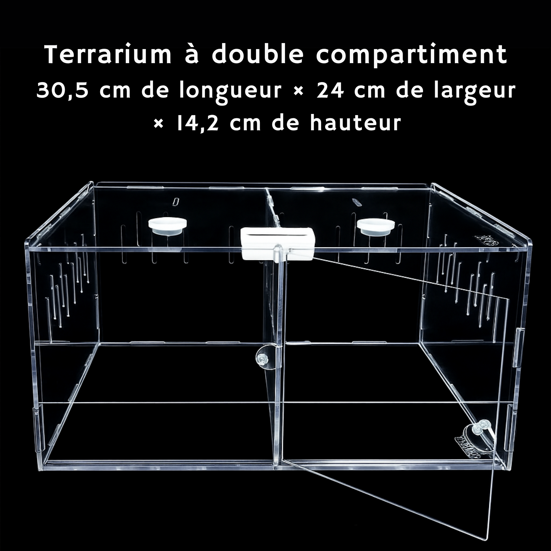 Terrarium en Acrylique à 4 Compartiments 