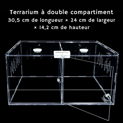 Terrarium en Acrylique à 4 Compartiments 