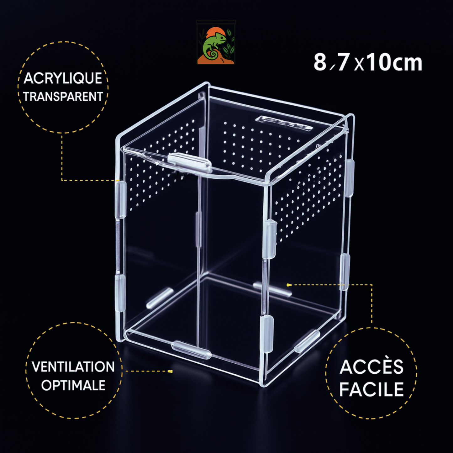 Terrarium Transparent en Acrylique Vertical 