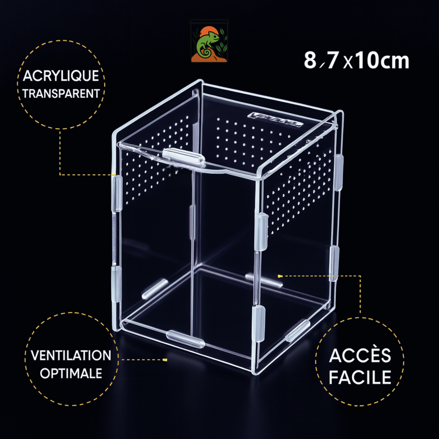 Terrarium Transparent en Acrylique Vertical 