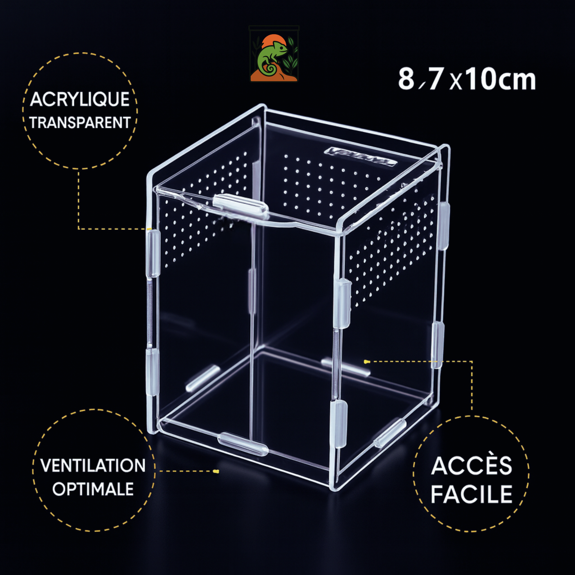 Terrarium Transparent en Acrylique Vertical 
