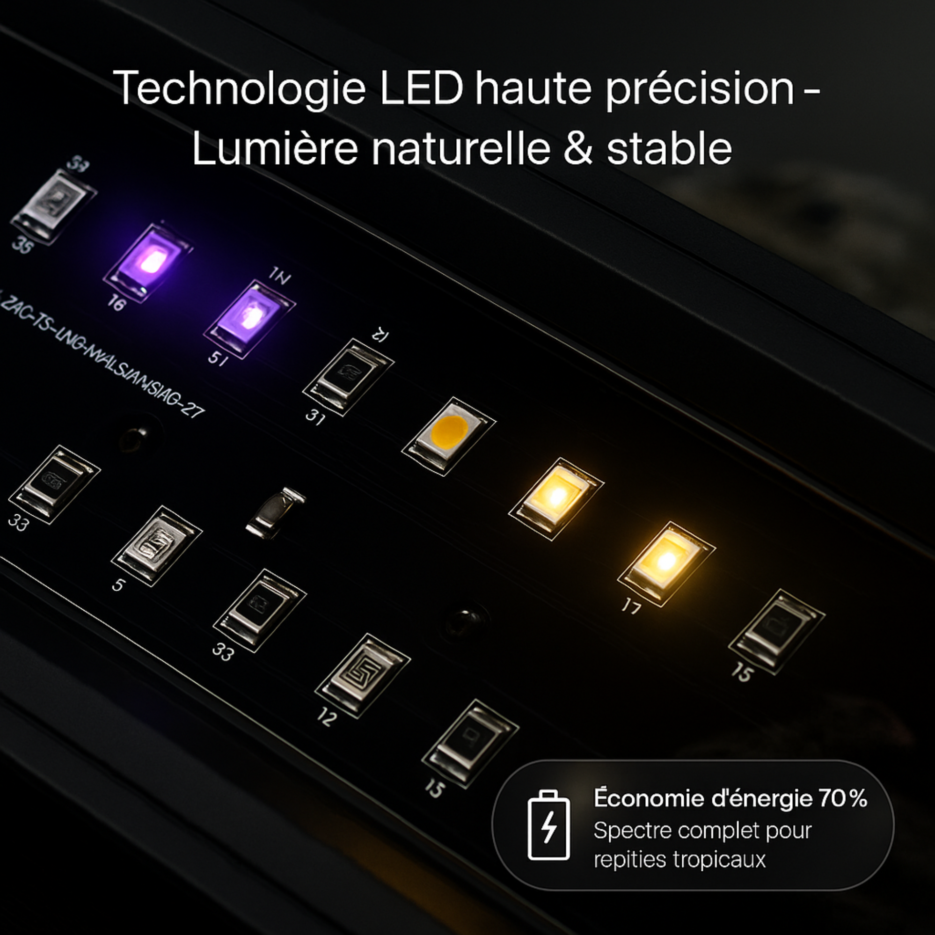 Lampe UVB 10.0 à Spectre Complet pour Terrarium 