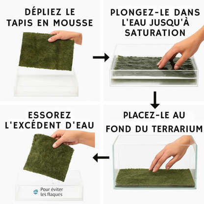Tapis de Fond en Mousse naturelle pour Terrarium 