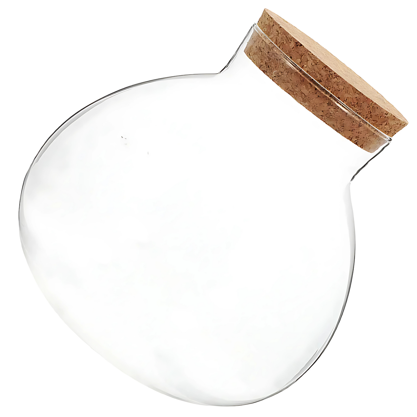 Bouteille Écologique en Verre – Terrarium Décoratif Créatif 