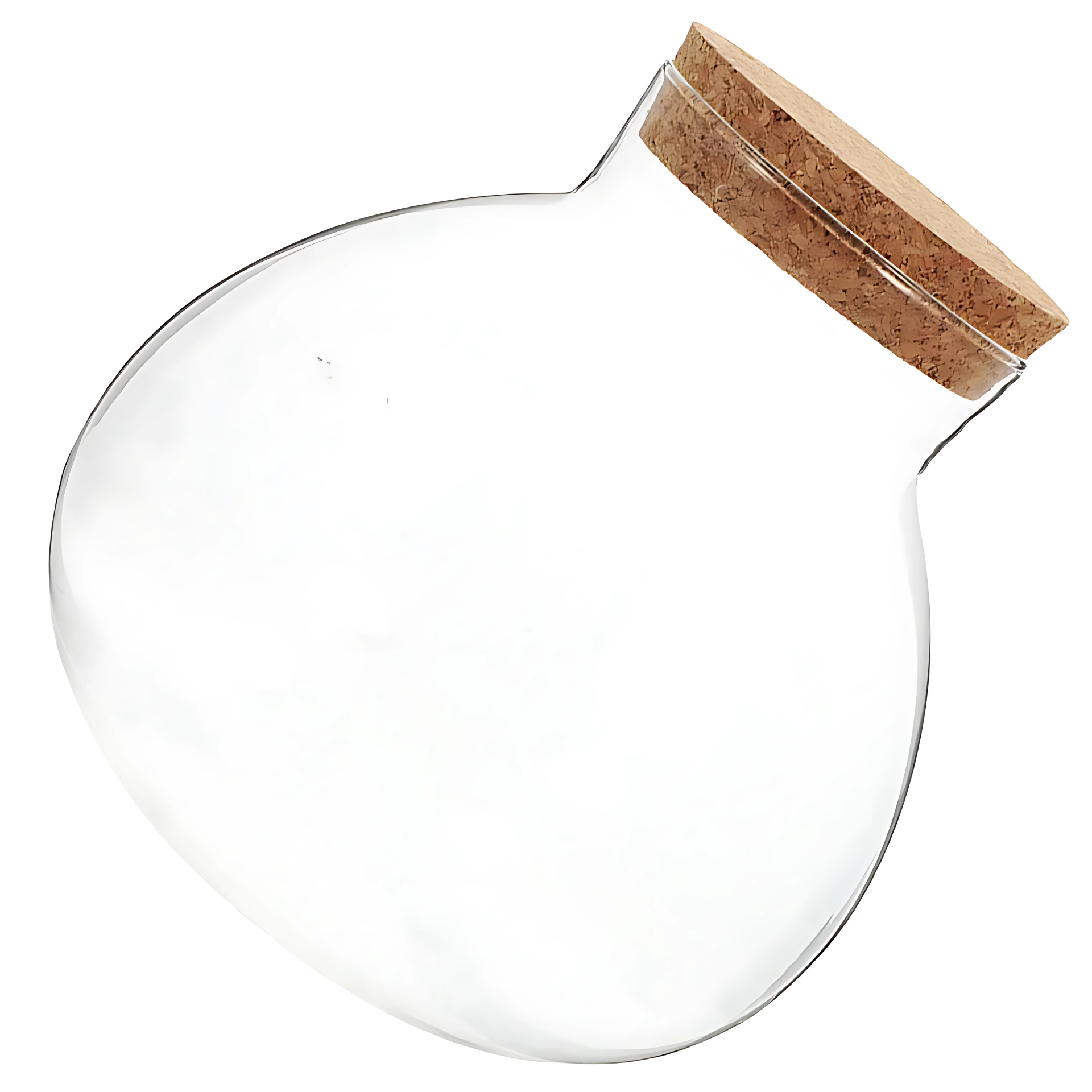 Bouteille Écologique en Verre – Terrarium Décoratif Créatif 