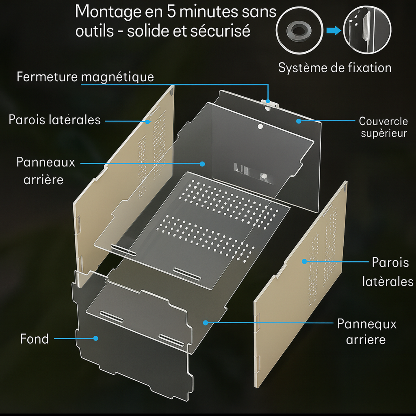 Terrarium Transparent en Acrylique Vertical 