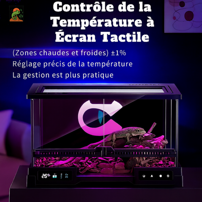 Terrarium en Verre Intelligent – Habitat Futuriste & Premium 