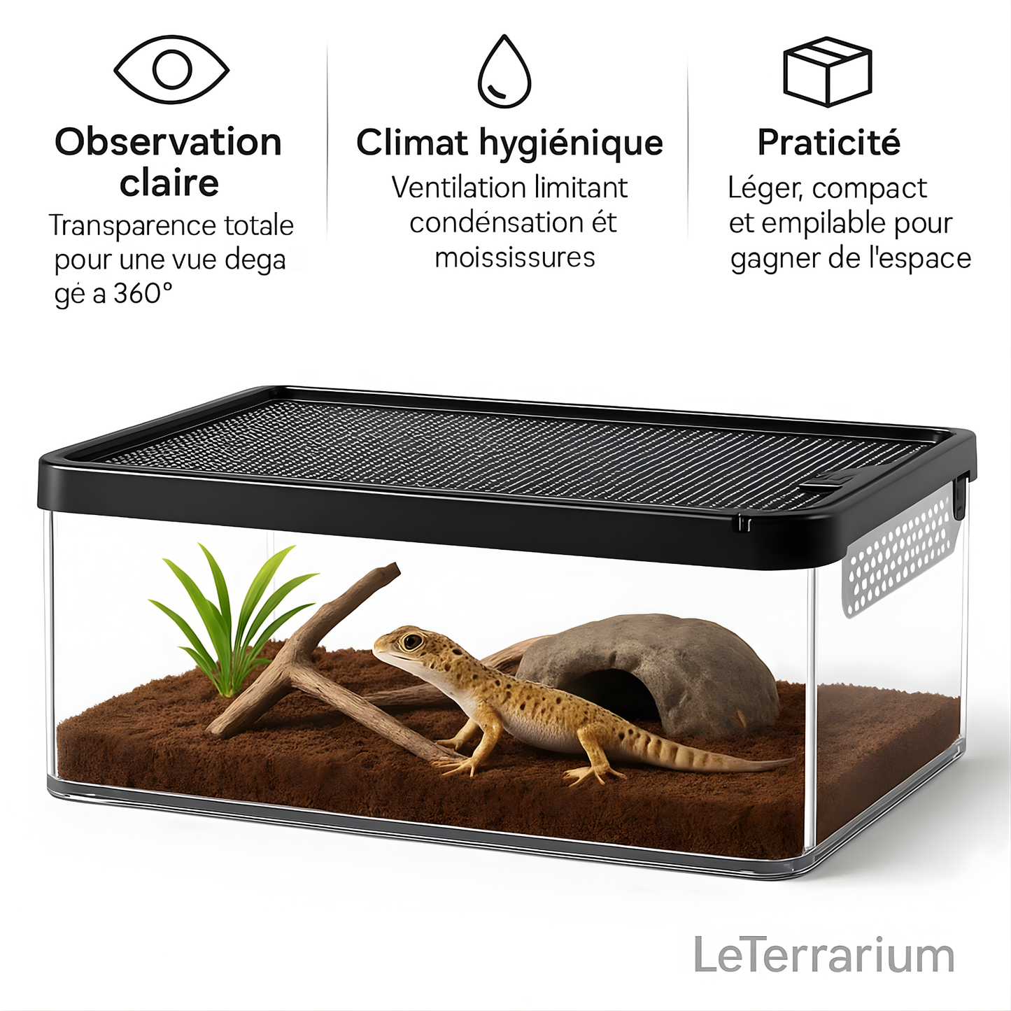Terrarium Transparent de Nourrissage 