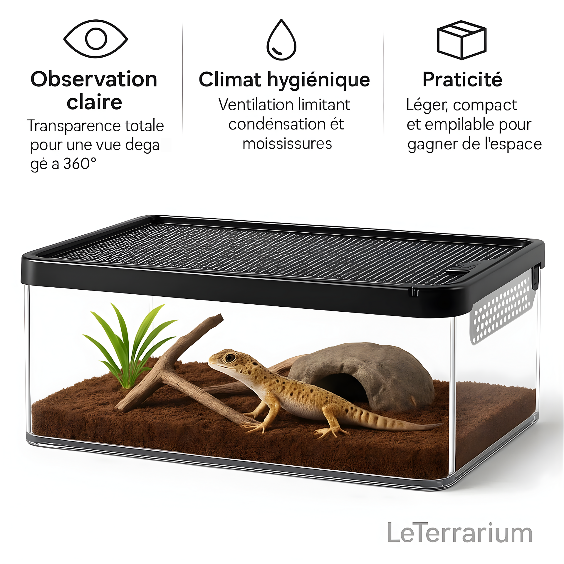 Terrarium Transparent de Nourrissage 