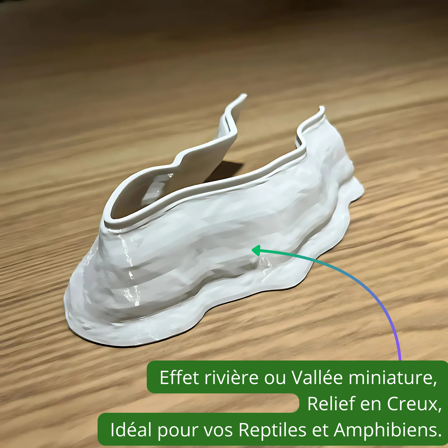 Canyon pour Terrarium – Décor Imprimé & Partie Aquatique Intégrée 