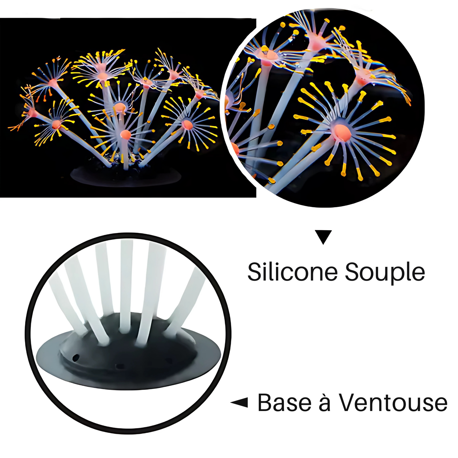 Plante Corail Fluorescente pour Terrarium – Décoration Lumineuse 