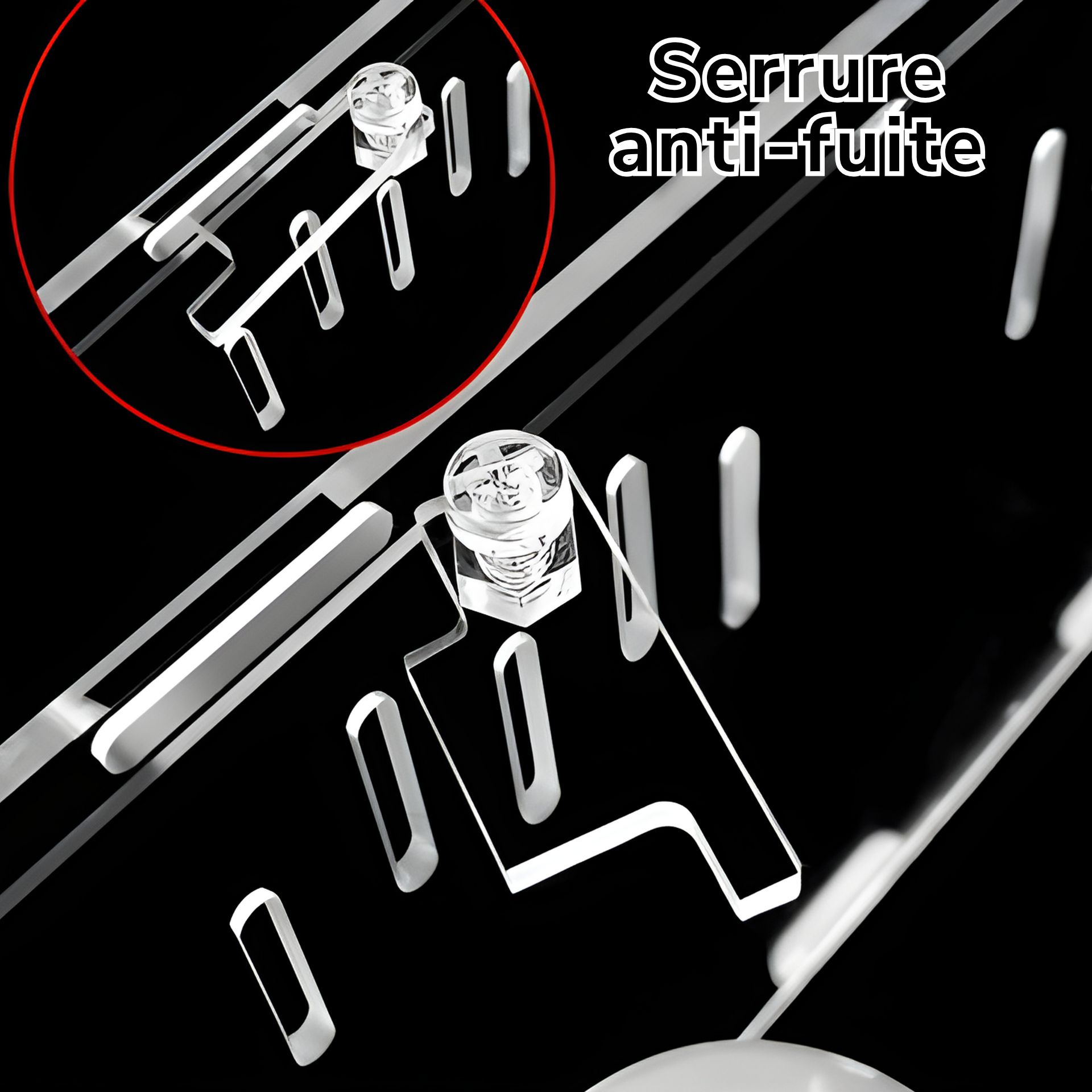 Terrarium en Acrylique à 4 Compartiments 