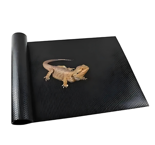 Tapis de Terrarium en EVA 