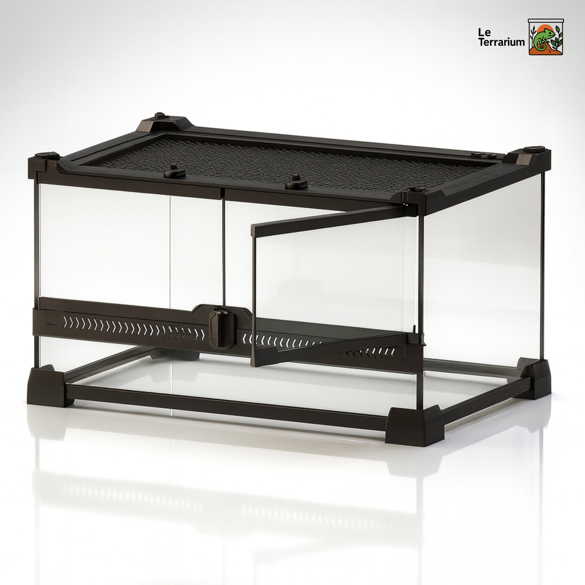 Terrarium en verre transparent 