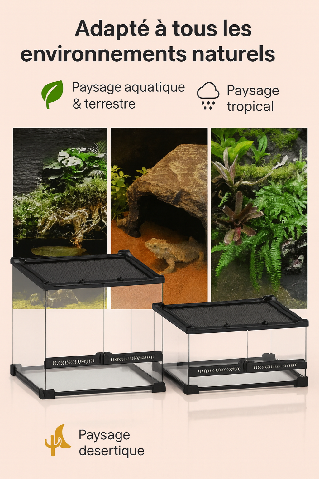 Terrarium en verre transparent 