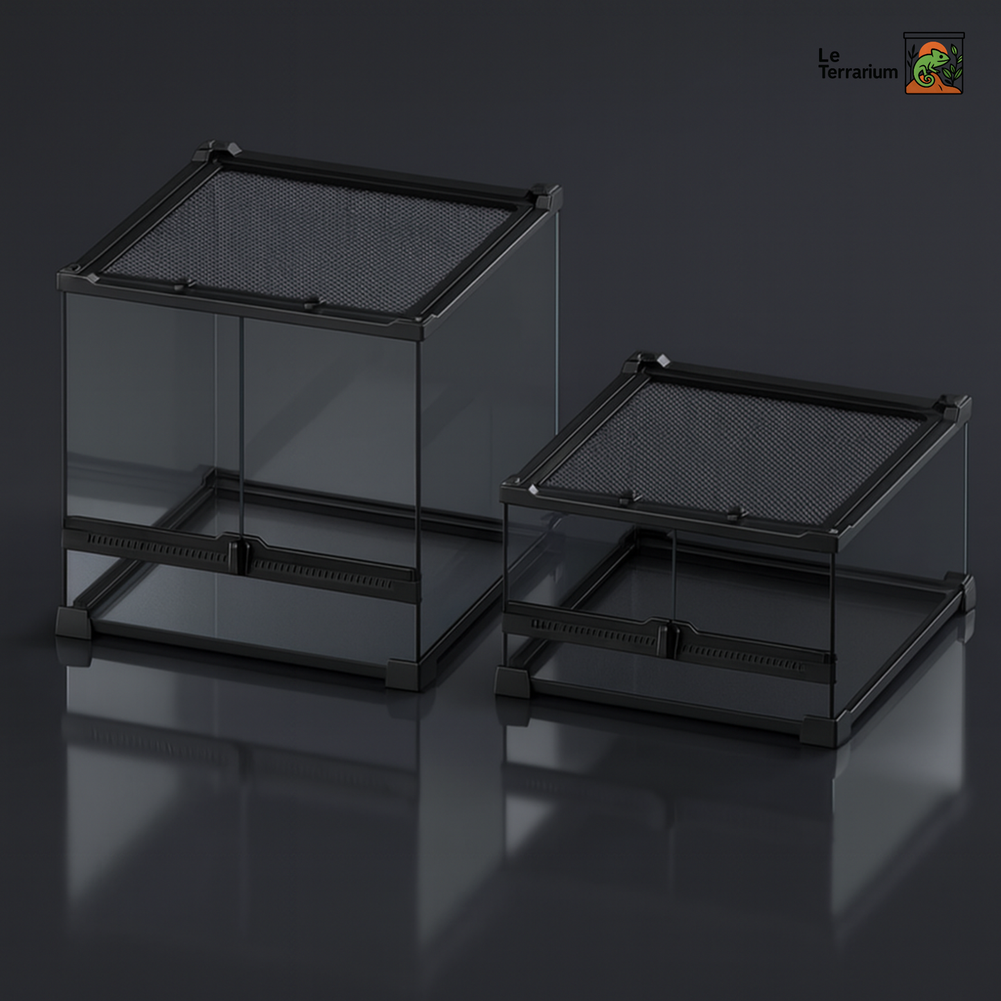 Terrarium en verre transparent 