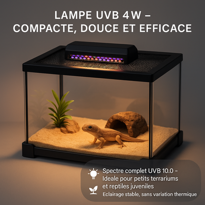 Lampe UVB 10.0 à Spectre Complet pour Terrarium 