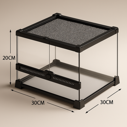 Terrarium en verre transparent 