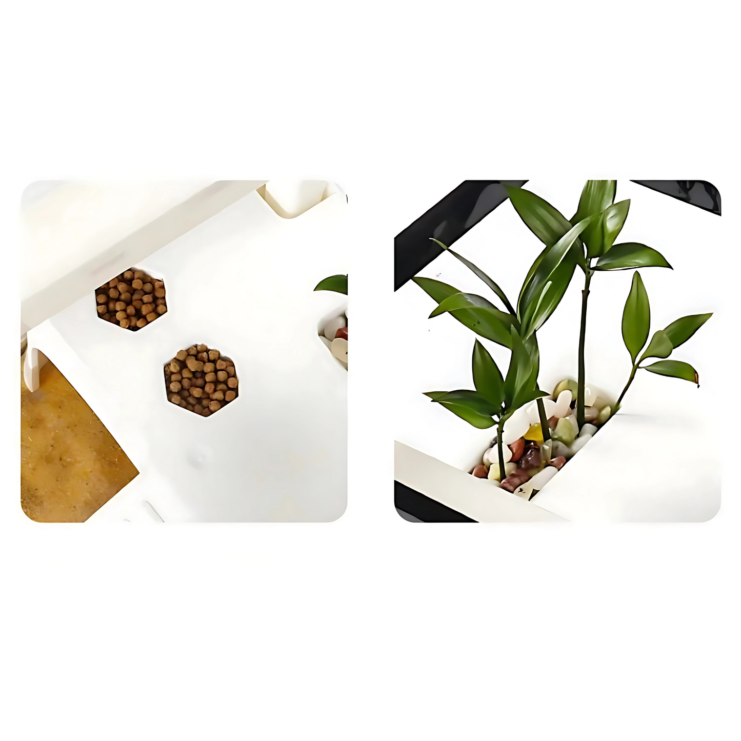 Terrarium Vivarium pour Tortues – Bac Moderne avec Plateforme 