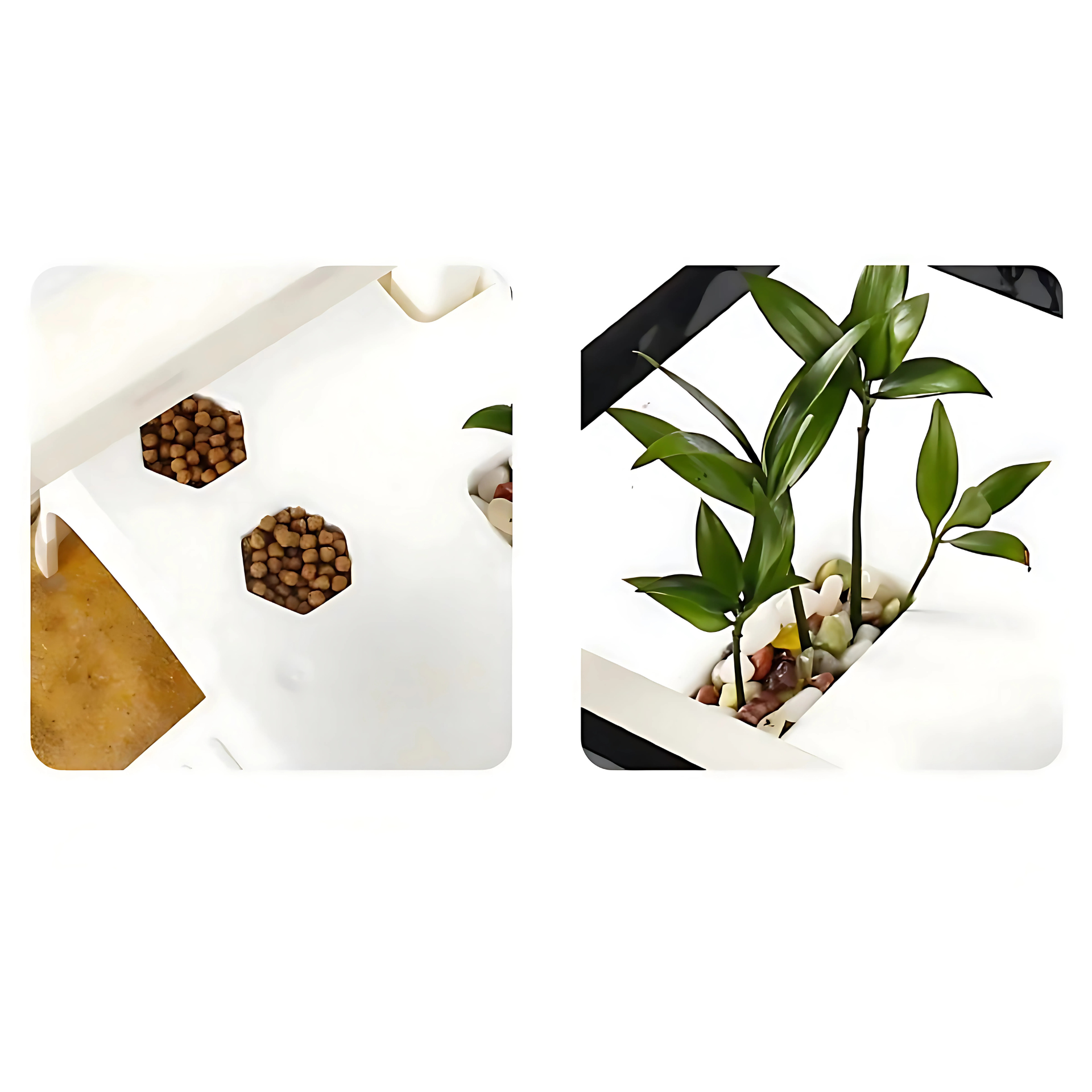 Terrarium Vivarium pour Tortues – Bac Moderne avec Plateforme 