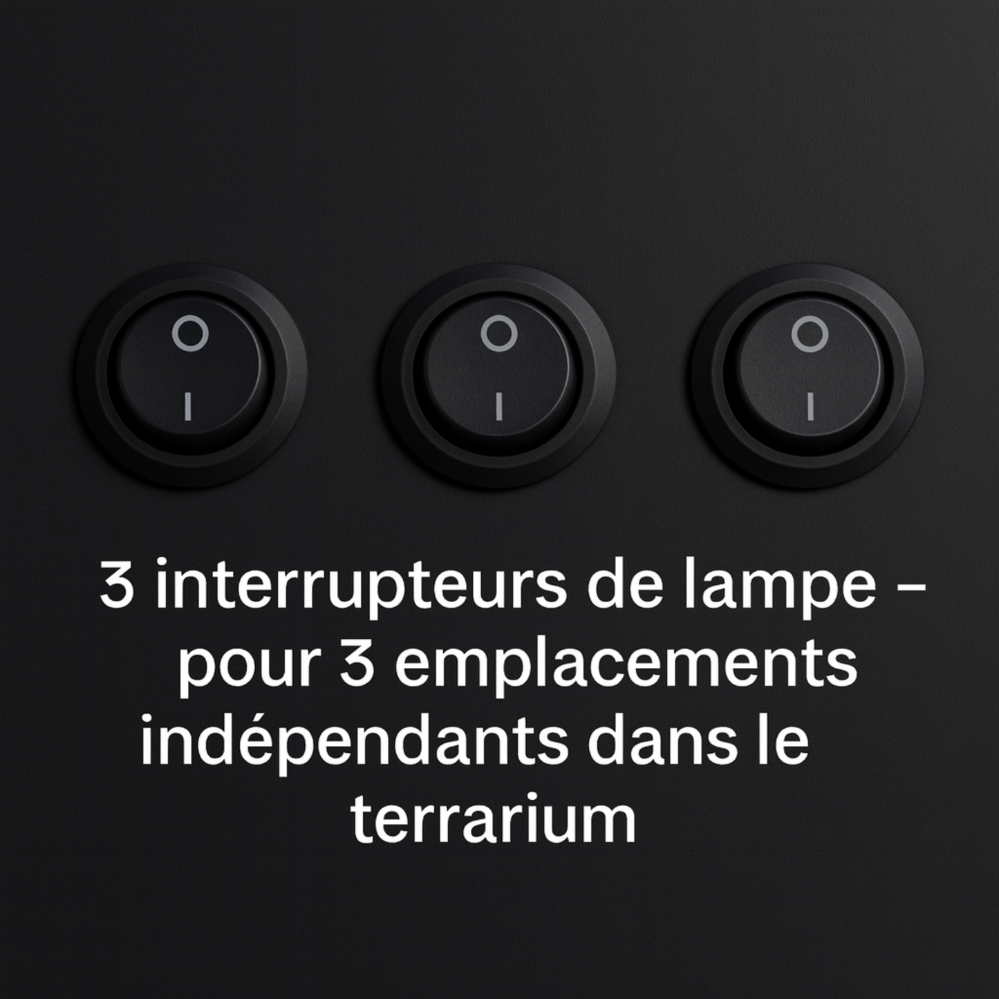 Terrarium en PVC noir 