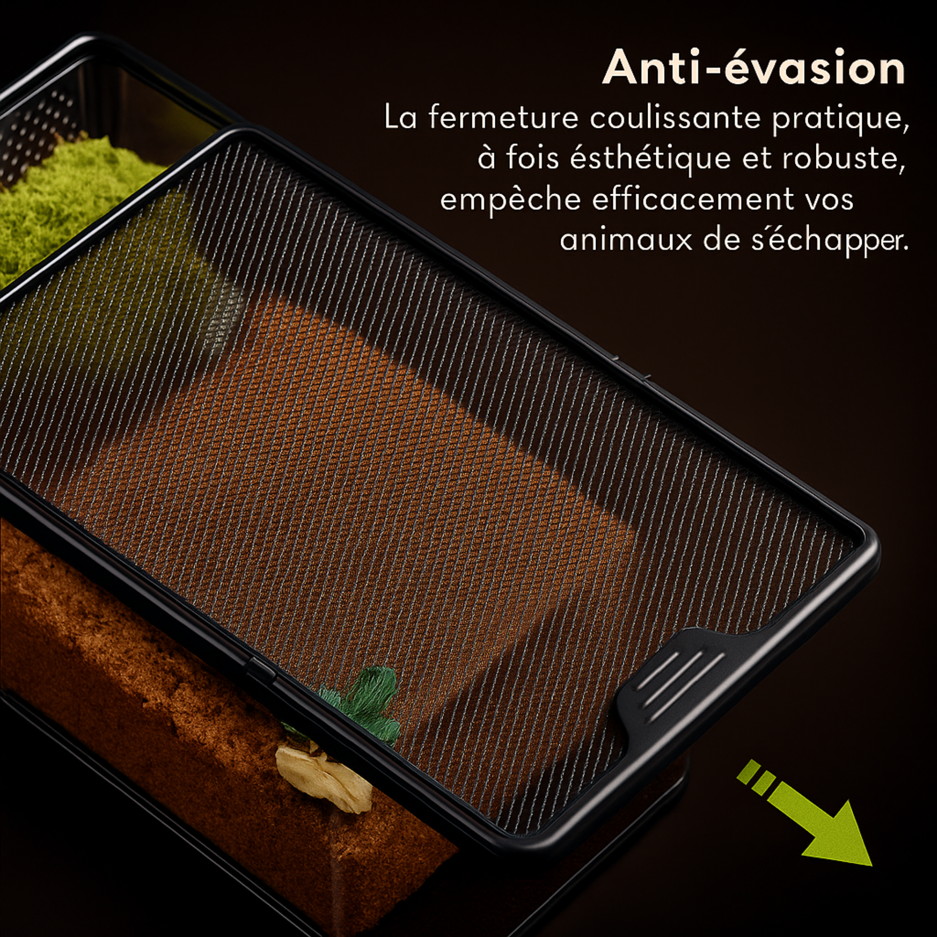 Terrarium Transparent de Nourrissage 