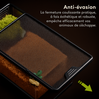 Terrarium Transparent de Nourrissage 