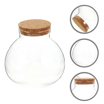 Bouteille Écologique en Verre – Terrarium Décoratif Créatif 