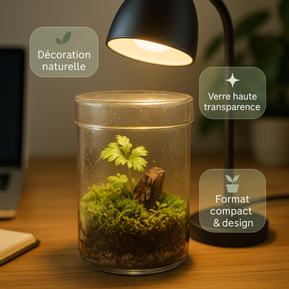 Terrarium Plante en Tube 