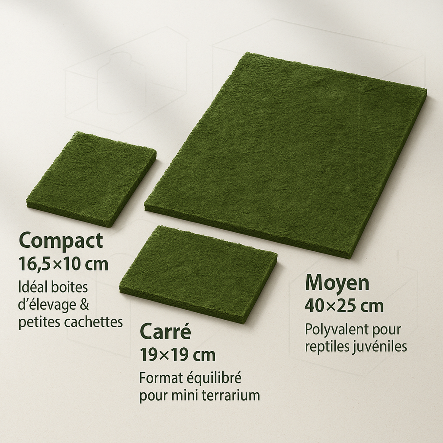 Tapis de Fond en Mousse naturelle pour Terrarium 