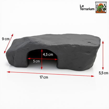Accessoire Terrarium – Grotte et Rampe de Plateforme pour Tortue 