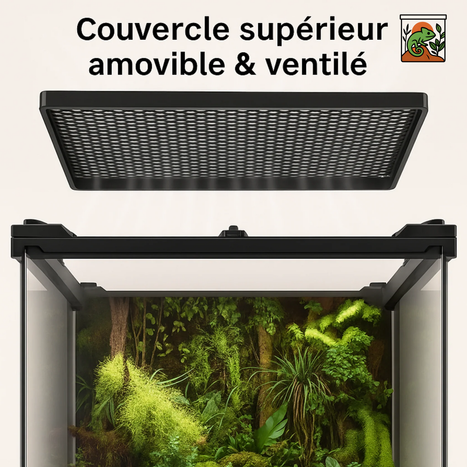 Terrarium en Verre Trempé Haute Transparence 
