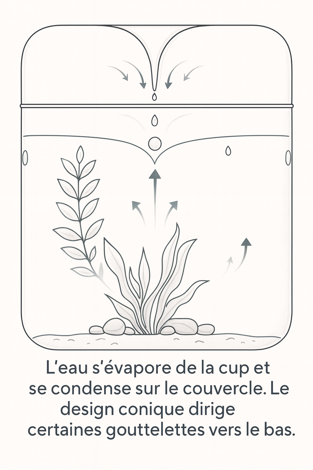 Terrarium Plante Végétal en Verre – Jardin Humide 