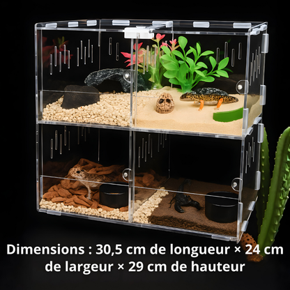 Terrarium en Acrylique à 4 Compartiments 