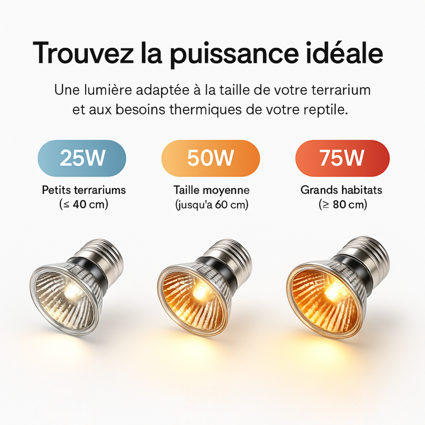 Ampoule UVA pour Terrarium 