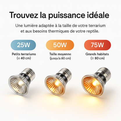 Ampoule UVA pour Terrarium 