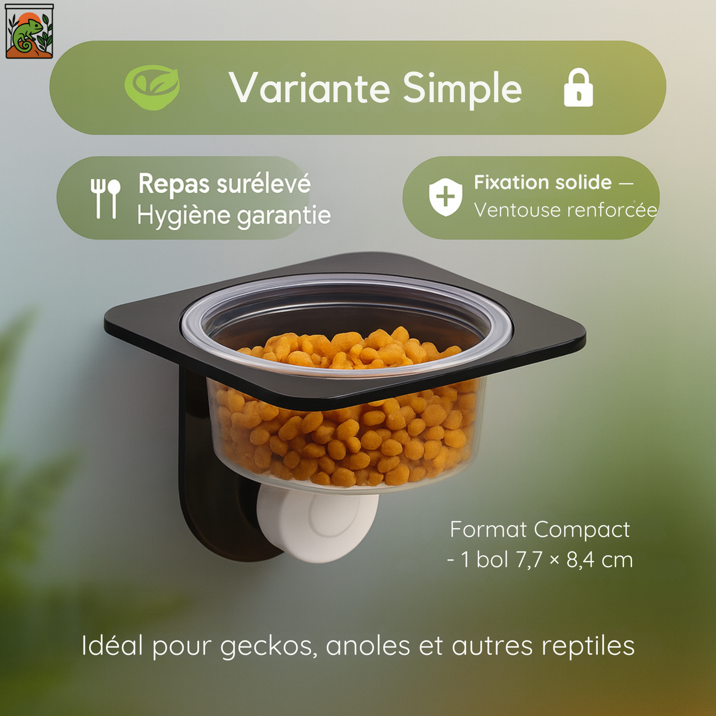 Bol de Nourriture pour Terrarium suspendu à ventouse 