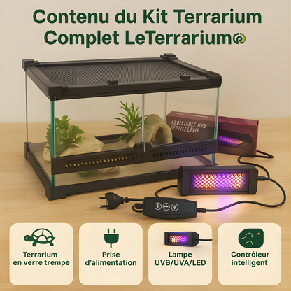 Terrarium en Verre avec Lampe UVA/UVB 