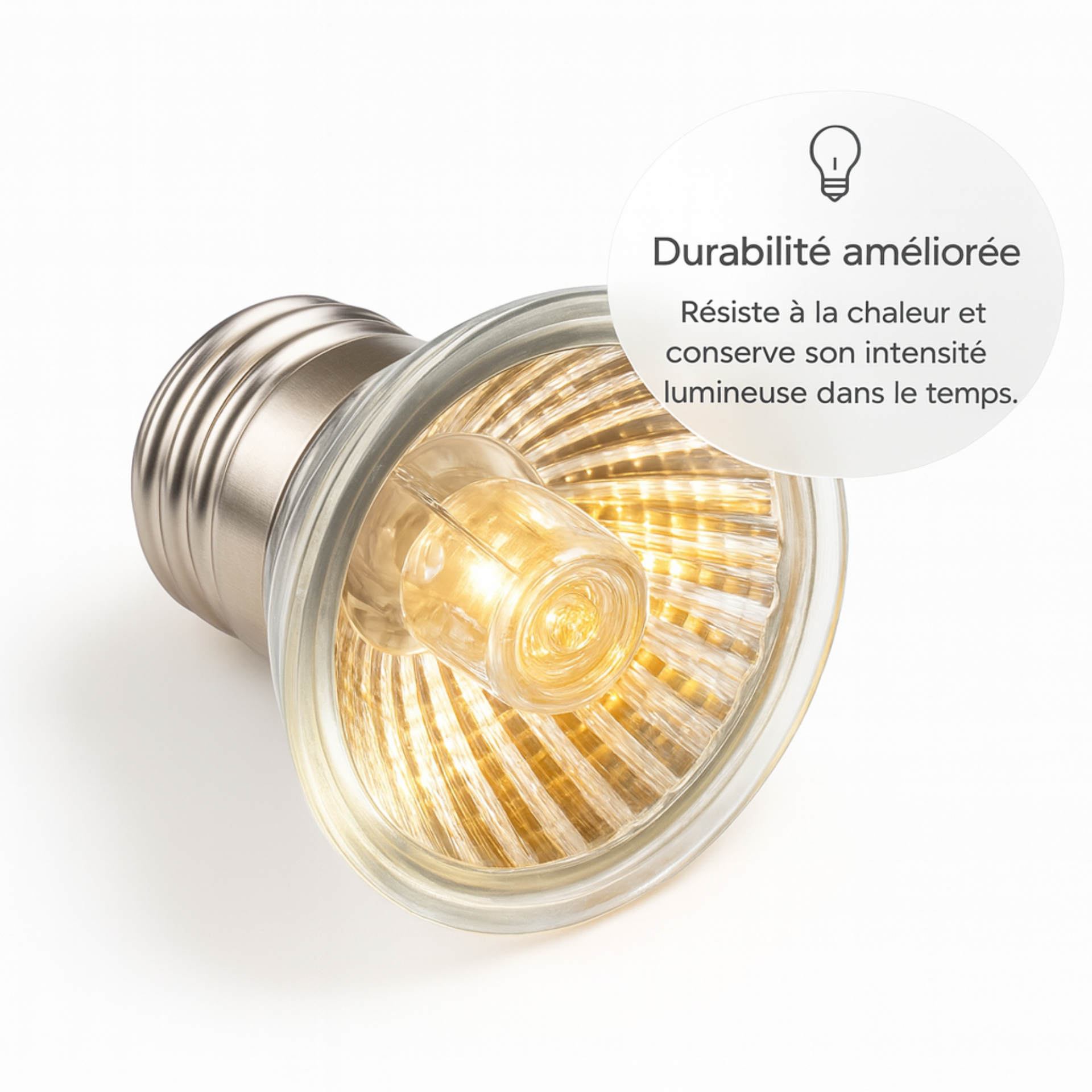 Ampoule UVA pour Terrarium 