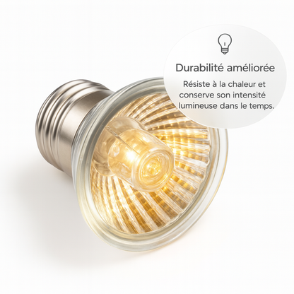 Ampoule UVA pour Terrarium 